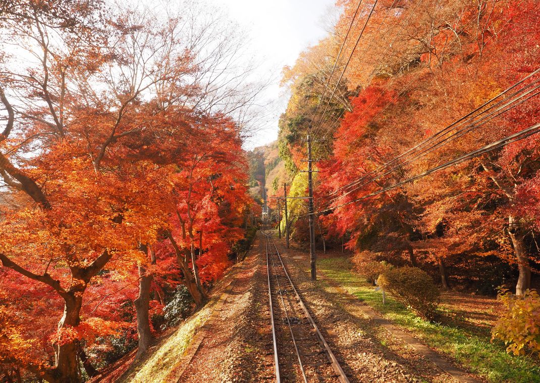 Ősz a Takao-hegyen, Hachioji, Japán