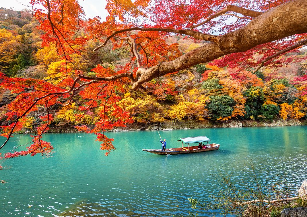 Csónak a Katsura folyón ősszel, Kiotó, Japán