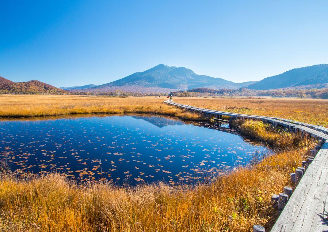 Gyönyörű ösvény az Oze Nemzeti Parkban, Japán