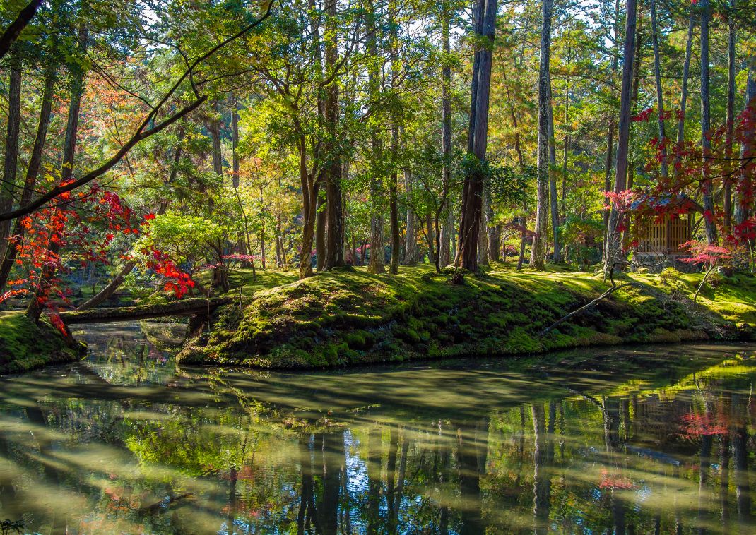 Saihoji (Kokedera) templom kertje Kiotóban, Japán