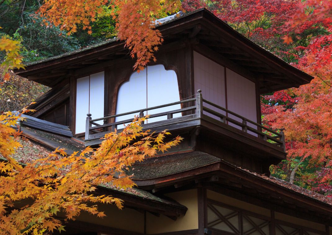 Őszi színekbe öltözött Sankeien kert Yokohamában, Japán