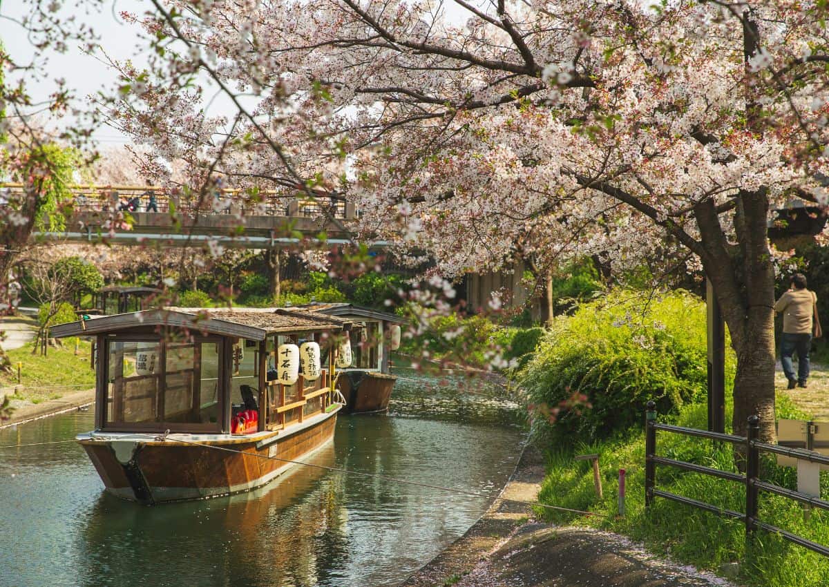 Sakura hajós kirándulás a Fushimi csatornán, Kiotóban