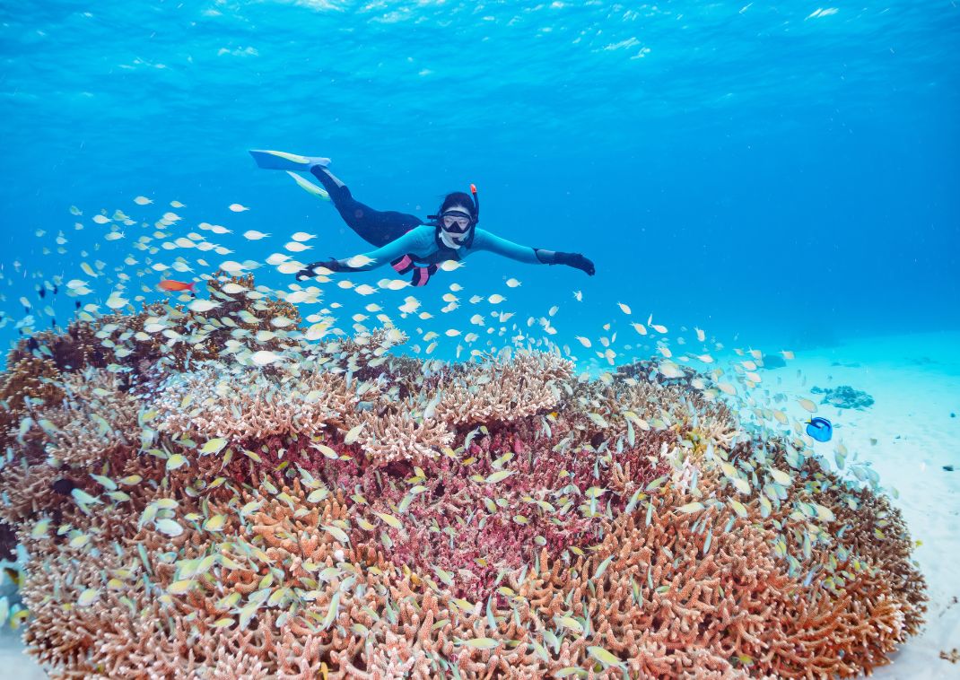 Könnyűbúvárkodás egy korallzátonynál, Okinawa