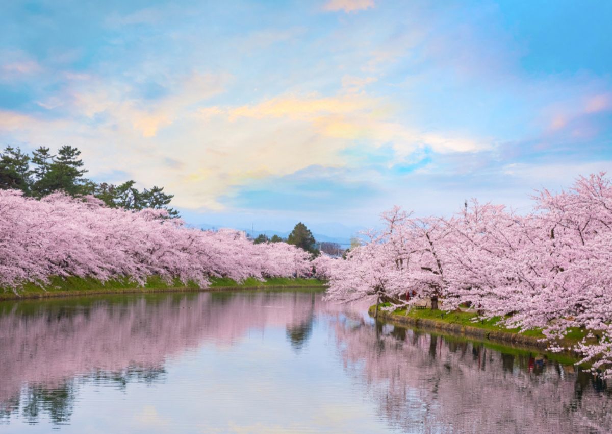 Hirosaki Cseresznyevirágzás Fesztivál