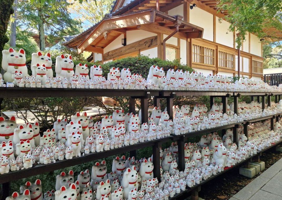 A Gotokuji templom integető macska szobrai, Tokió, Japán