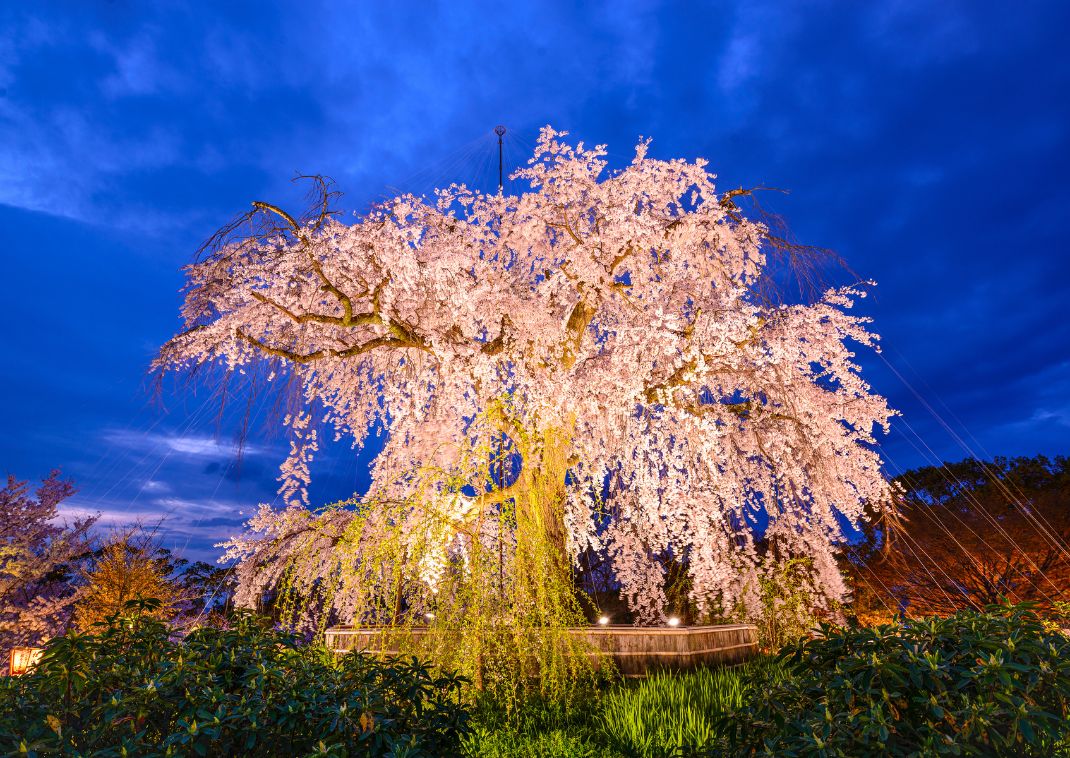 A Hiroshimai Atom Dóm tavasszal, Japán