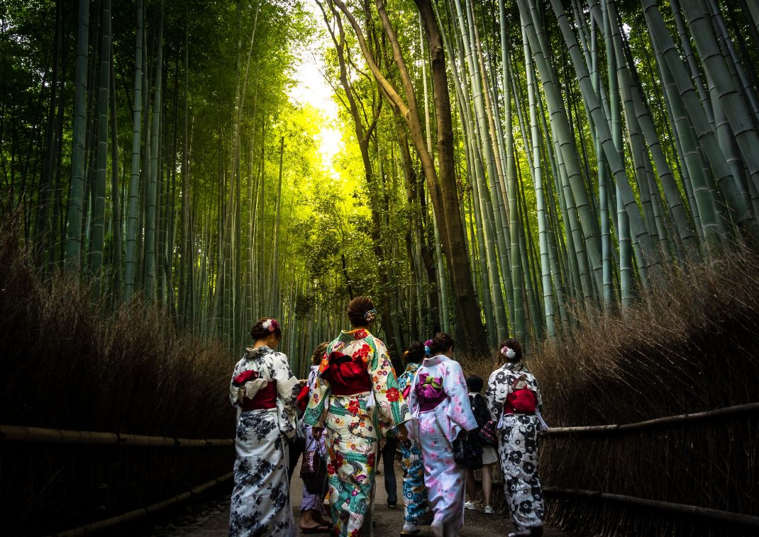 Arashiyama bambuszerdő, Kiotó