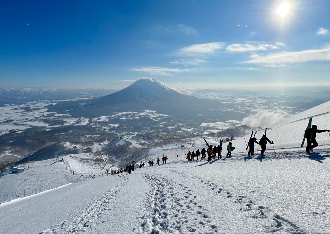 Niseko síparadicsom, Hokkaidó, Japán