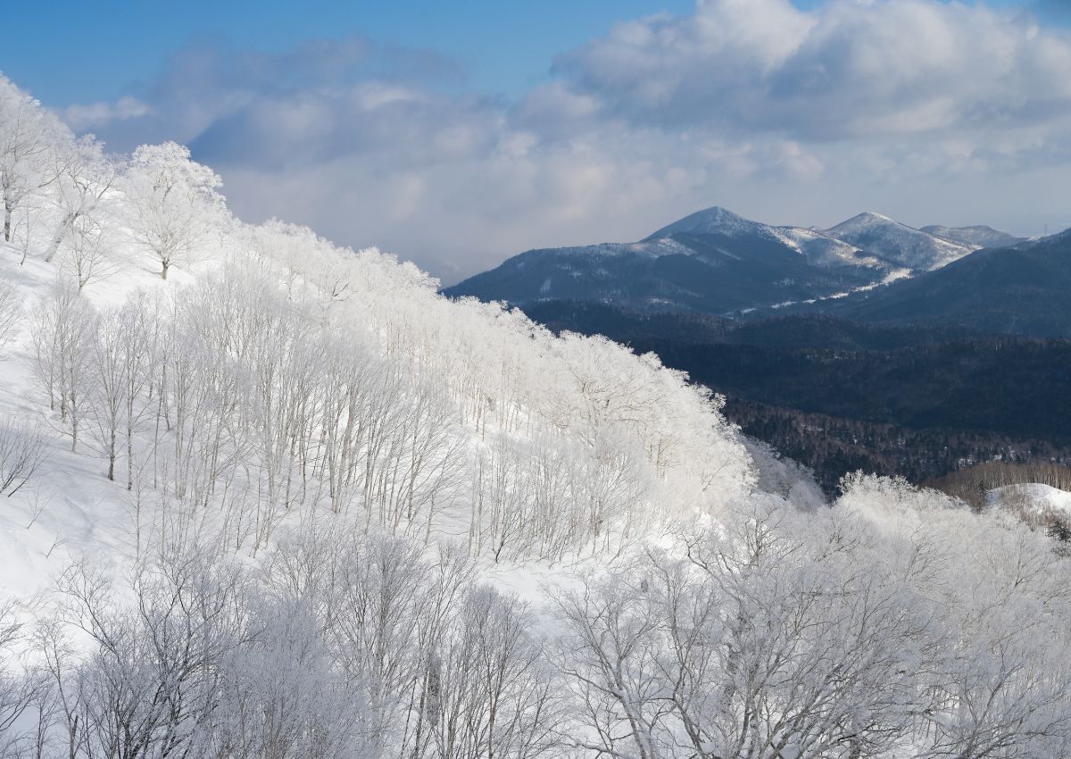 Tomamu síközpont, Hokkaido
