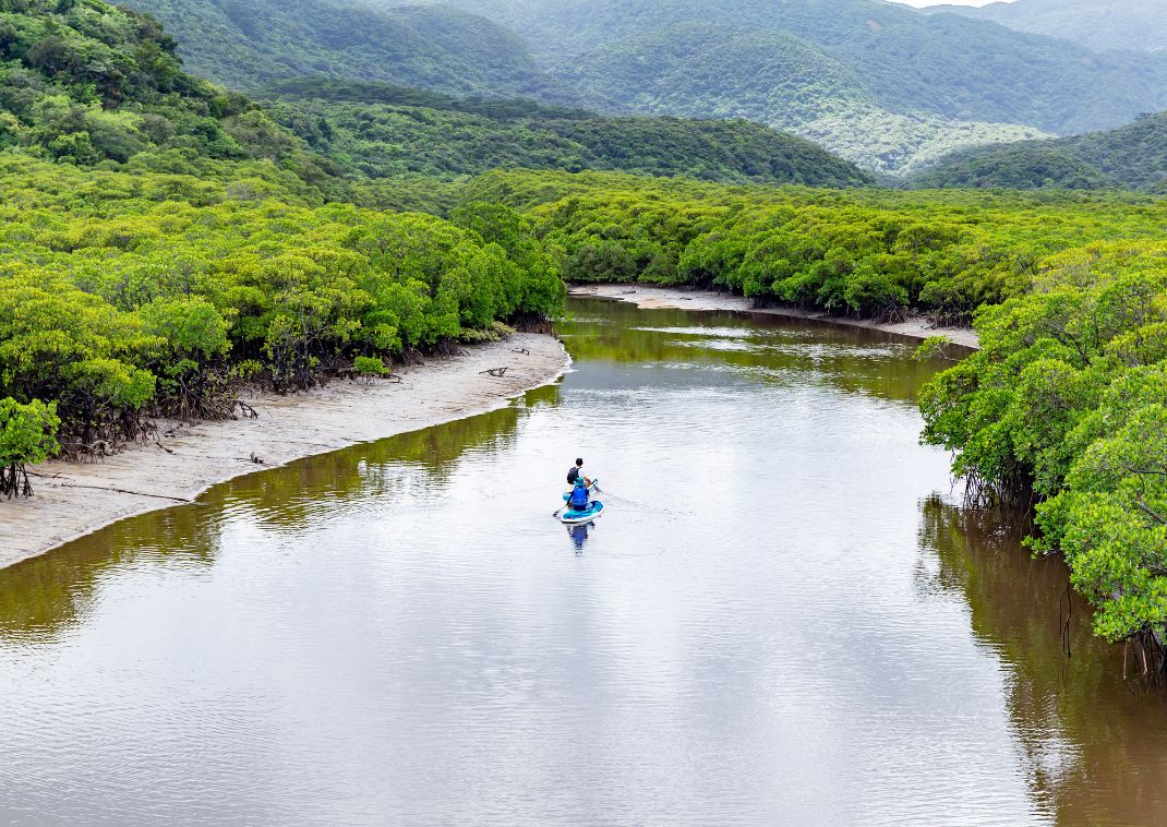  Kajakozás az Iriomote-szigetnél, Okinawa