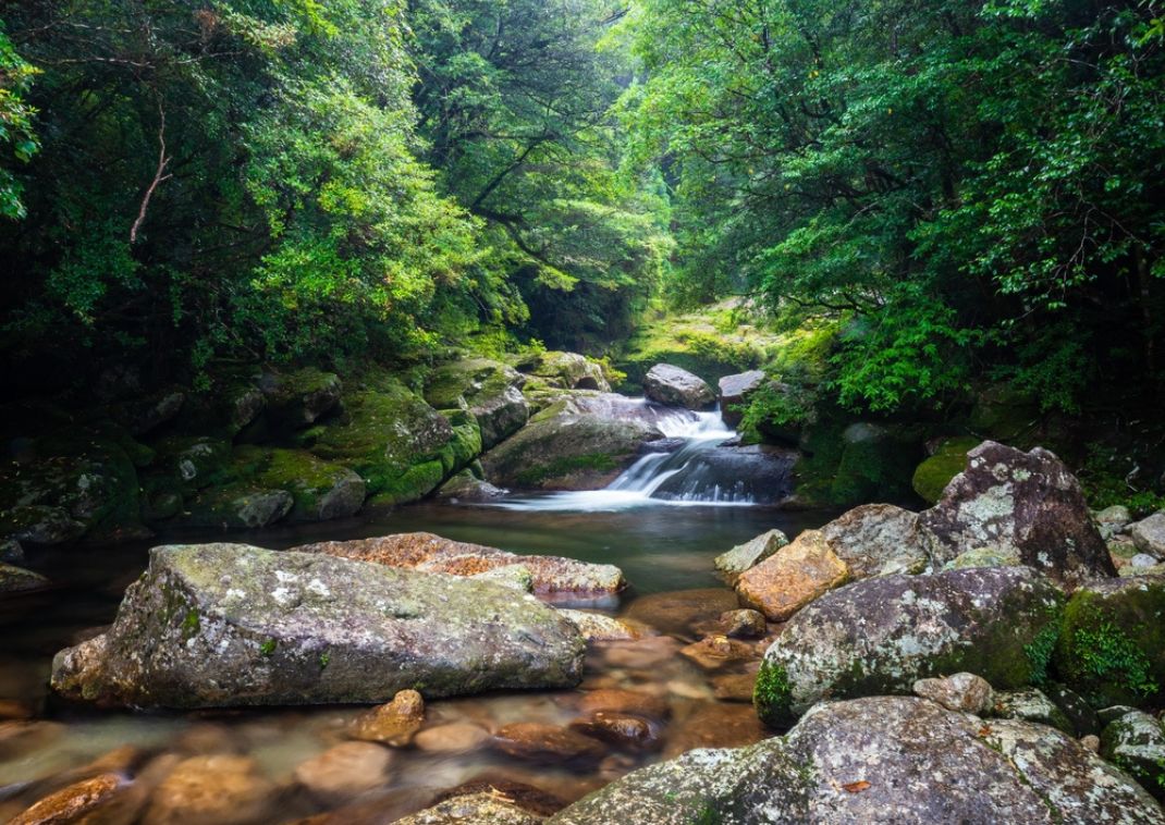 Shiratani Unsuikyo szurdok, Yakushima, Japán
