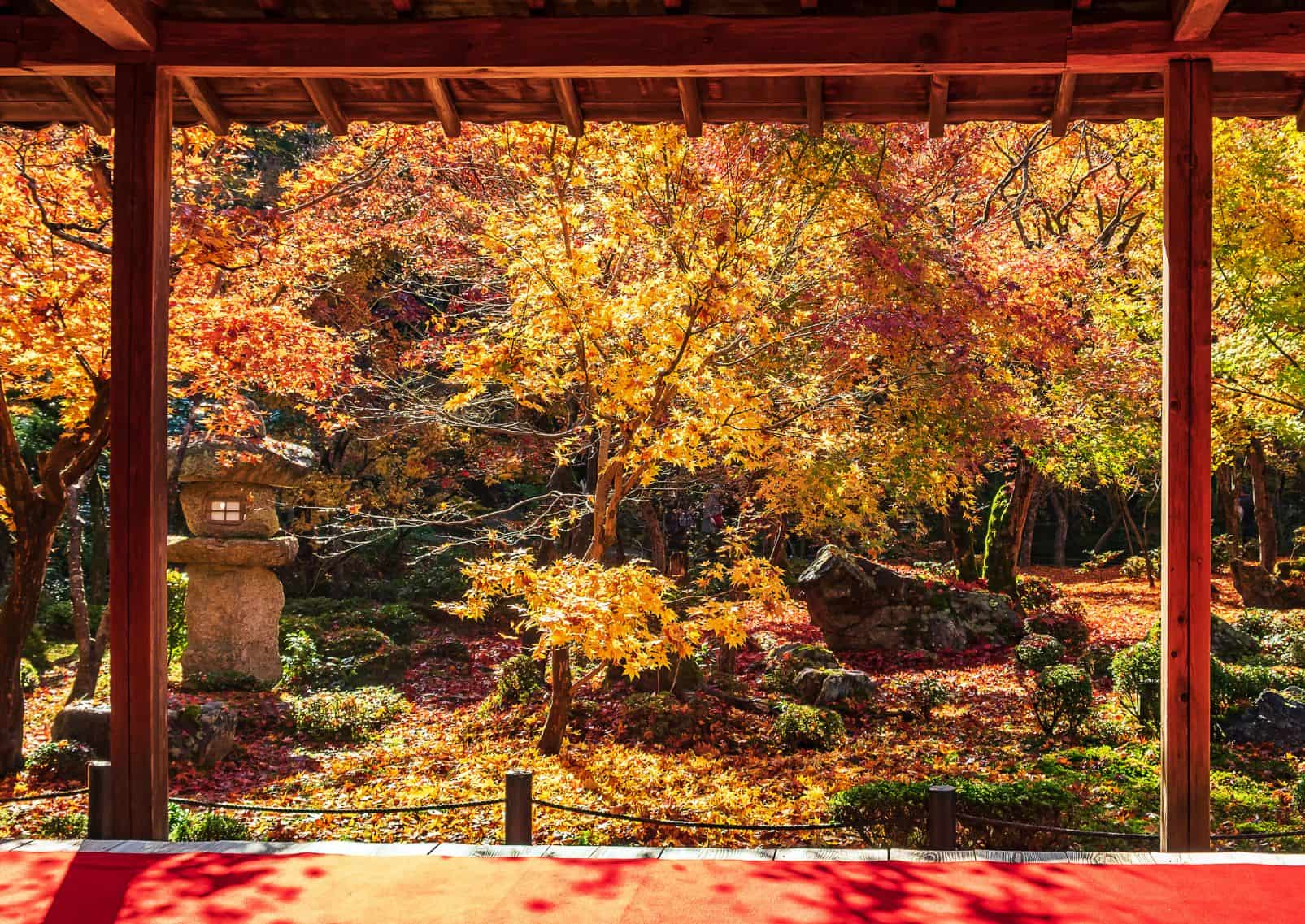 Kilátás egy fa pavilonból a juharfákkal teli őszi japánkertre Kiotóban, Japán