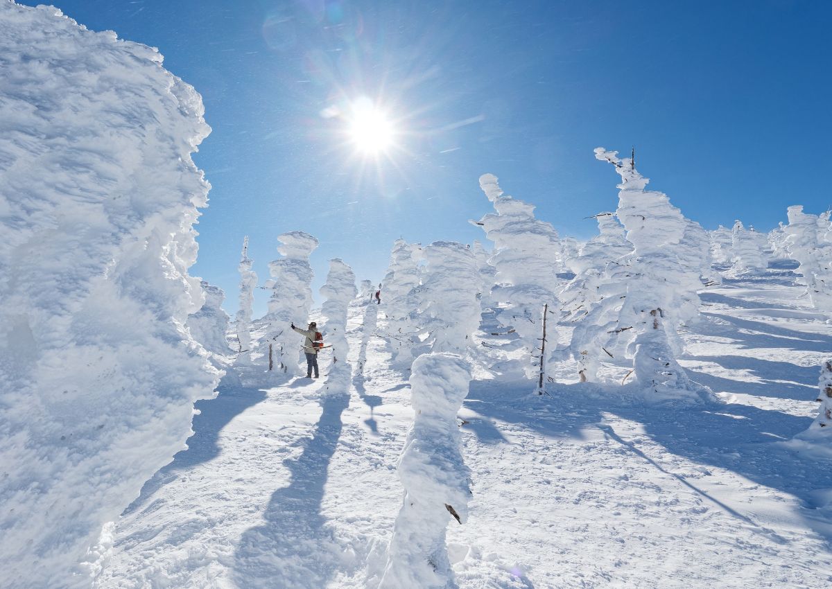 Hómonstrumok Yamagatában, Japán