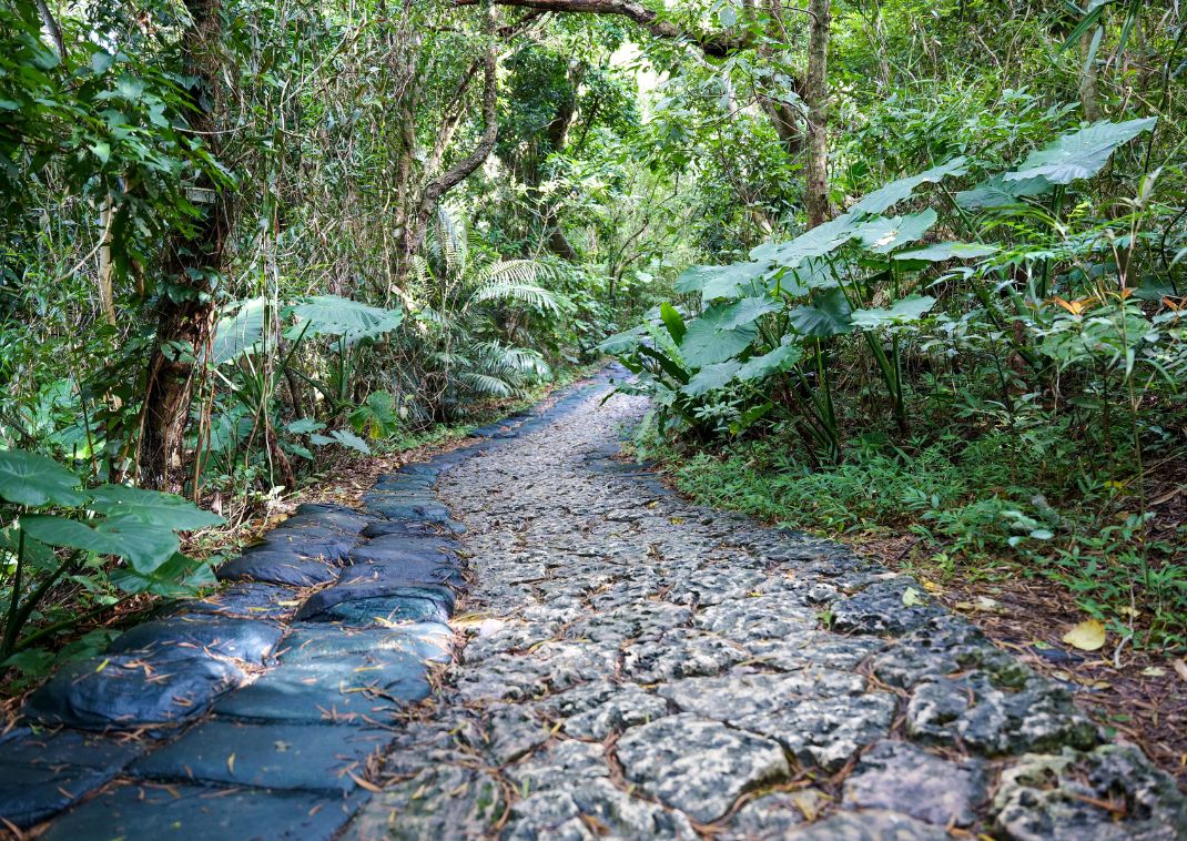 A Seifa Utaki ösvénye, Okinawa