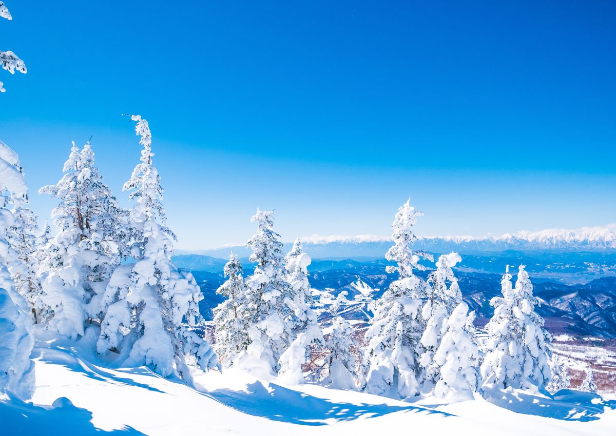 Hószörnyek a Sugadaira síterepen, Nagano prefektúrában, Japánban