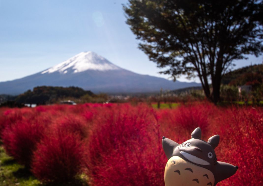 Totorós sütemény, Tokió, Japán