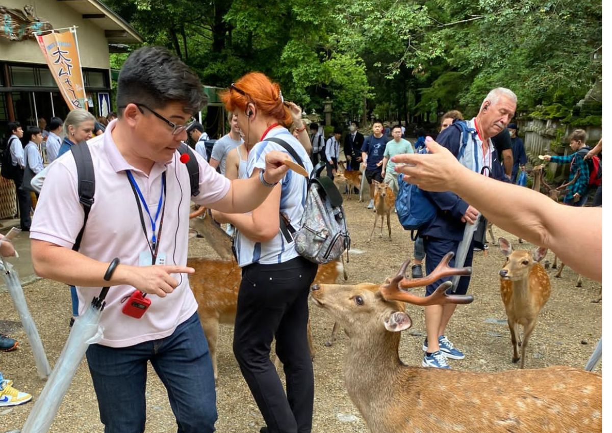 Idegenvezetőnk, Mitsuki a Nara Park szelíd szarvasai társaságában, Japán