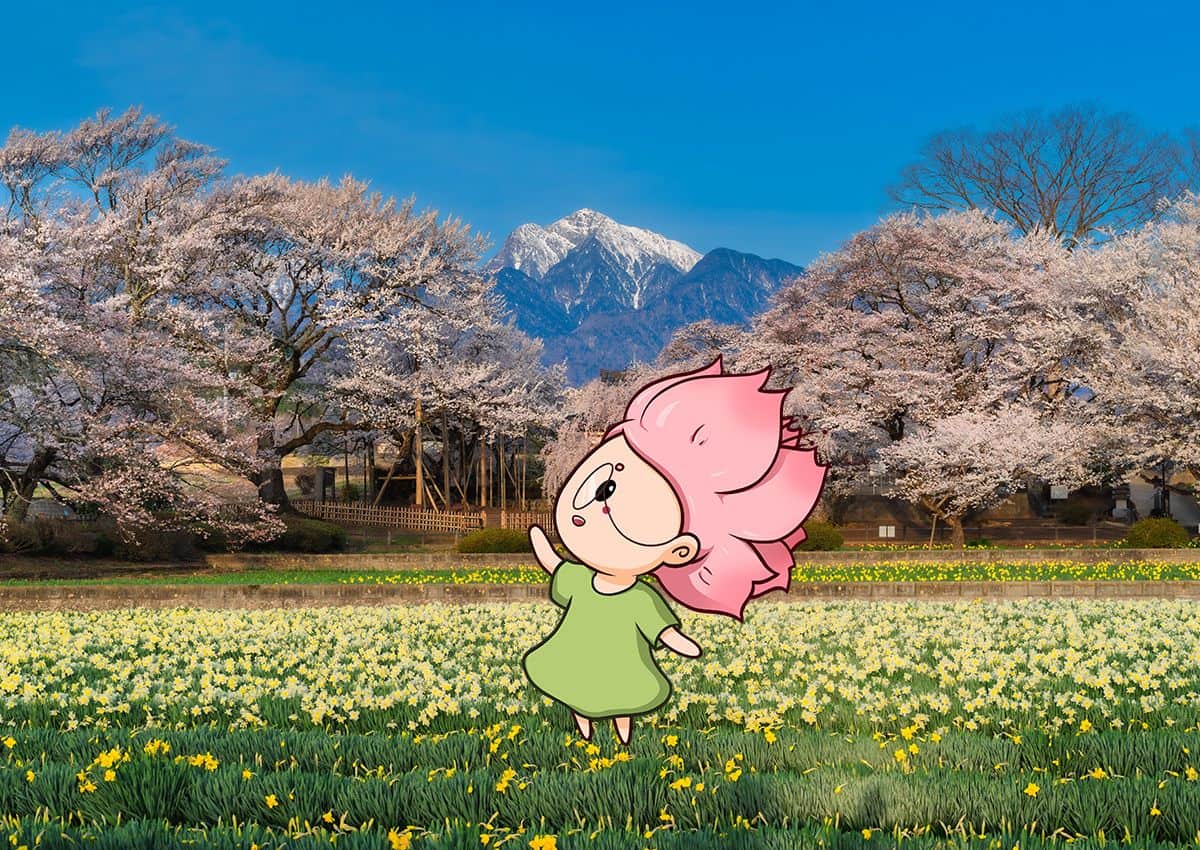 Mono-chan kabalafigura egy cseresznyefára mutat Yamanashiban, Japánban