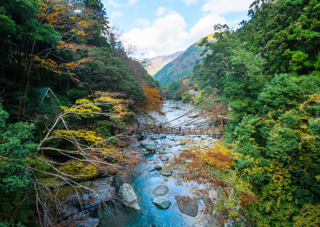 Kazurabashi-híd, Tokushima