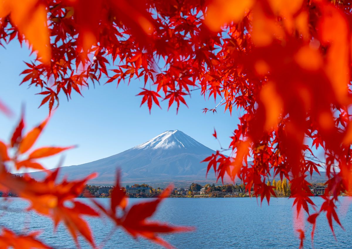 A Fuji-hegy vörös juharlevelek keretében, ősszel, Japánban.