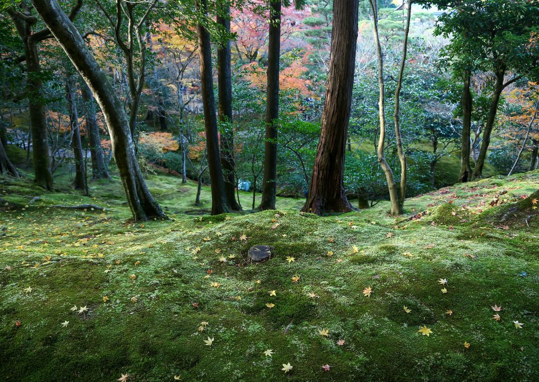 Tsukiyama, vagyis dombos kert. Ginkakuji templom, Kiotó.