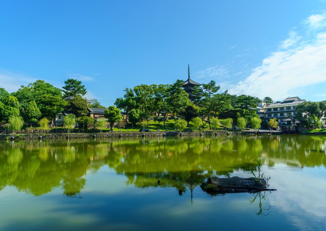 Nara park japánban