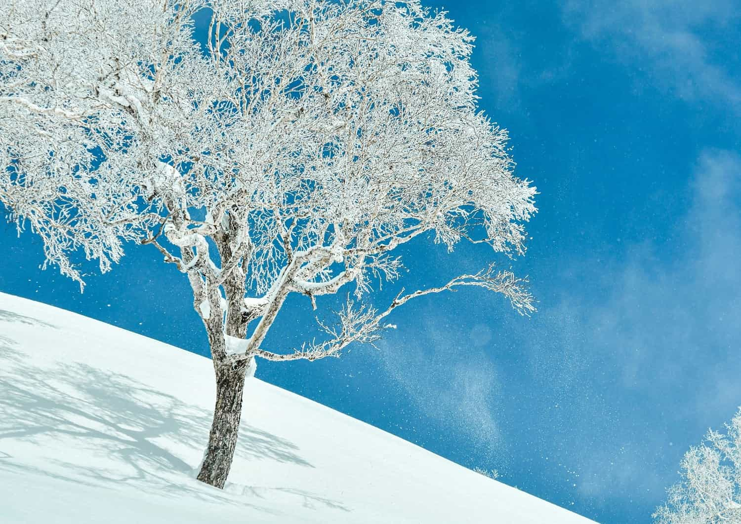 Porhó Niseko hegyén, Hokkaido, Japán