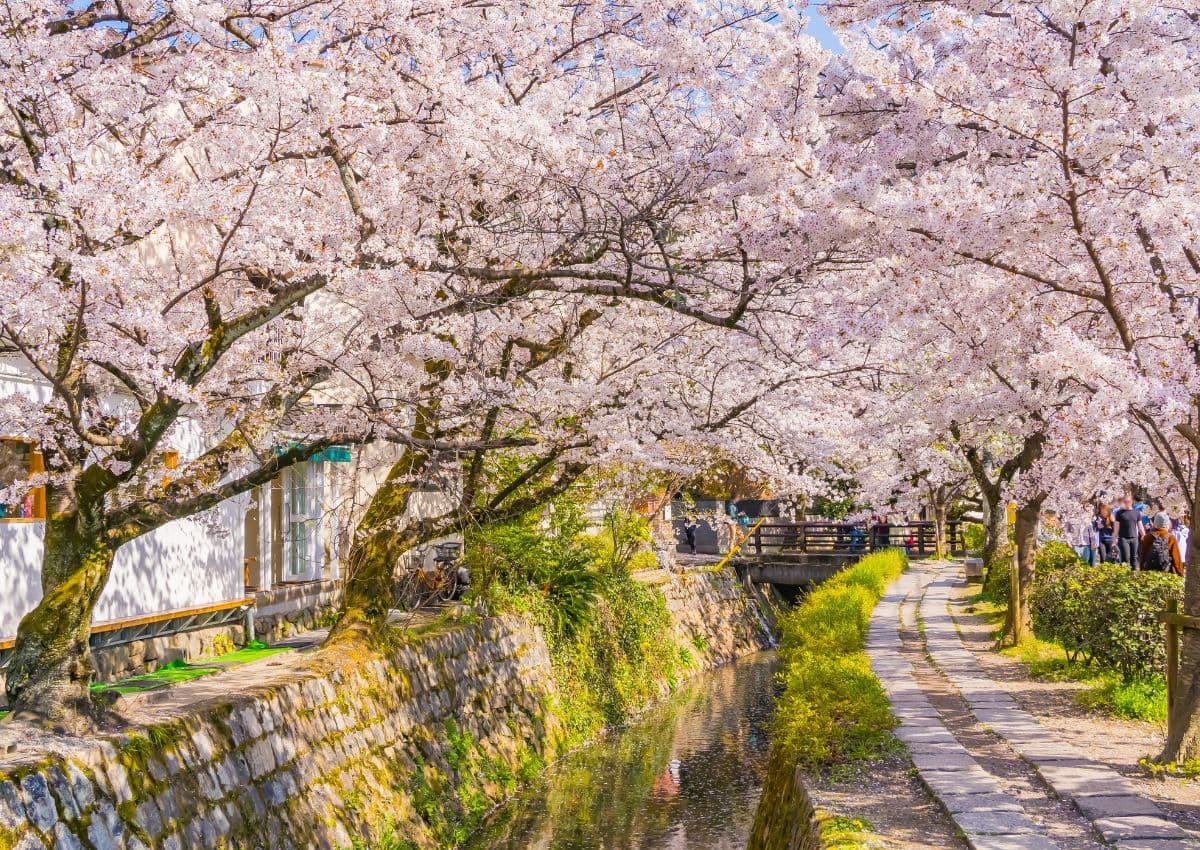 A Filozófusok ösvénye tavaszi hangulatban, Kiotó, Japán