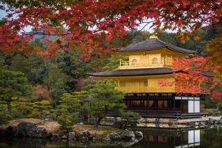 A Kinkakuji Templom (Arany Pavilon) őszi pompában, Kiotó, Japán