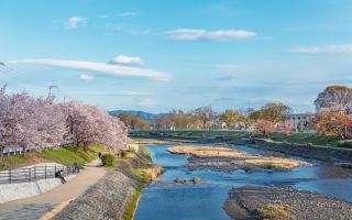 Kamogawa folyópart