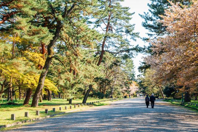 Kyoto Gyoen Nemzeti Park