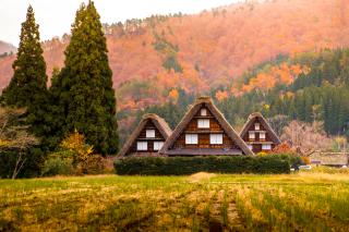 A Shirakawago világörökségi falu házai és rozsdabarna színben pompázó hegyoldala 