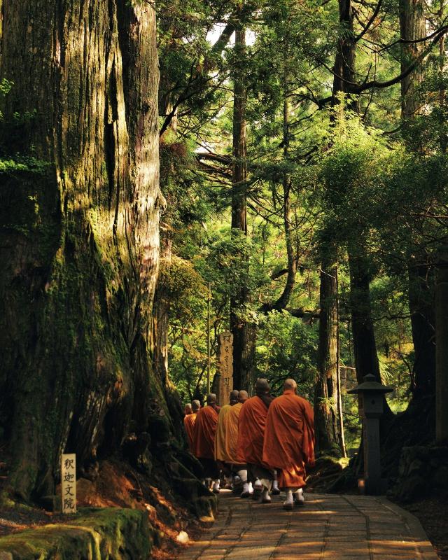 Buddhista szerzetesek a Kója-hegyen