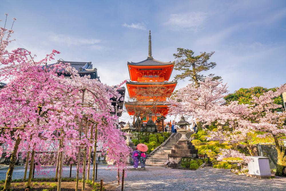 Kiyomizudera templom cseresznyevirágzás idején, Kiotó 