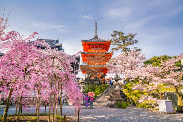 Kiyomizudera templom cseresznyevirágzás idején, Kiotó 