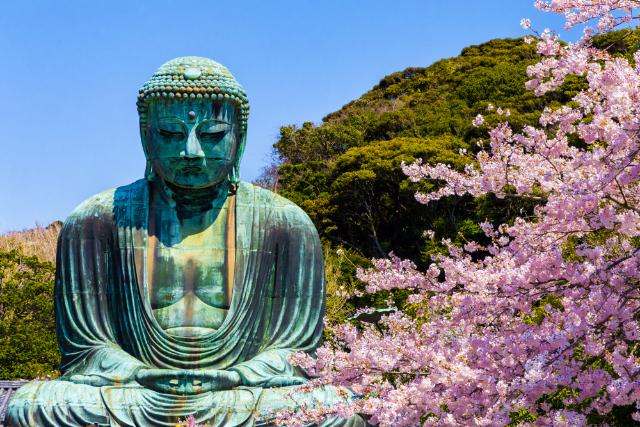 A Nagy Buddha cseresznyevirágokkal, Kamakura