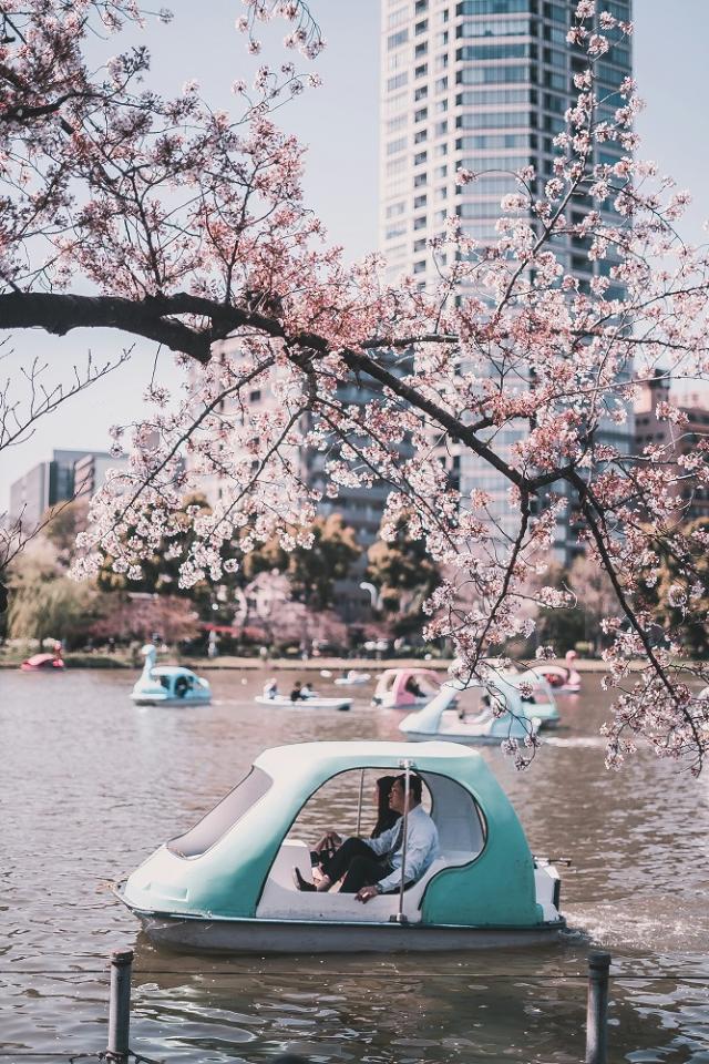 Vízibiciklik az Ueno Park taván, Tokió