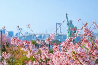 Odaiba mesterséges szigetének látnivalói, Tokió, Japán 