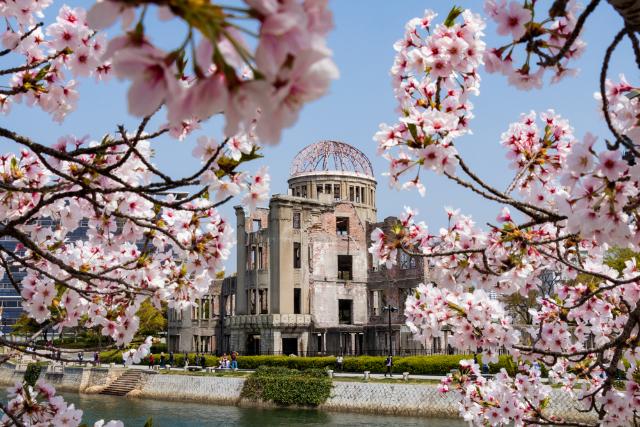 A hirosimai Atombomba-dóm a cseresznyefák mögött, Japán