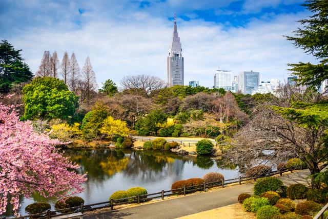 Virágzó kert Shinjukuban, Tokió, Japán 