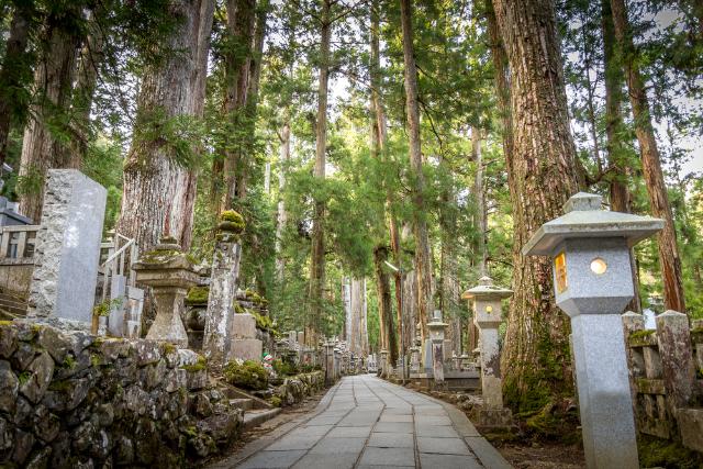 Okunoin templom ősi buddhista temetője a Kójaszanon
