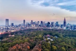 Shinjuku látképe és a Meiji szentély parkja 