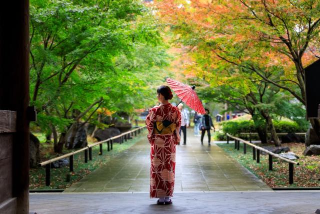 Japán nő piros kimonóban, esernyővel a kezében, ahogyan egy őszi levelekkel borított közparkban sétál Japánban