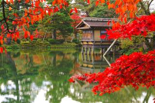 Őszi színekbe öltözött Kenrokuen kert Kanazawában, Japán 