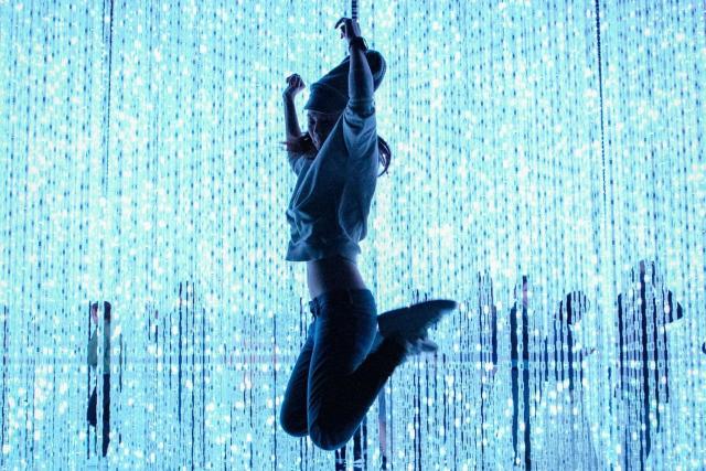 teamLab kiállítás, Tokió