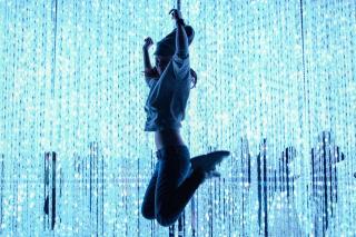 teamLab kiállítás, Tokió