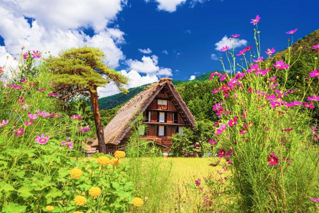 Hagyományos parasztházak nyáron, Shirakawago