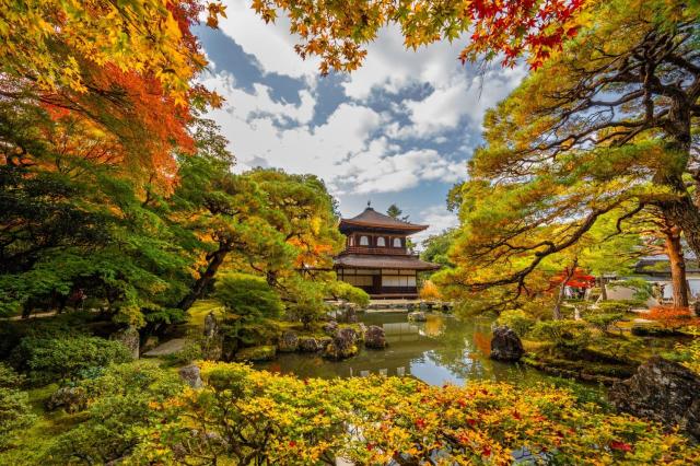 Ginkakuji templom ősszel, Kiotó
