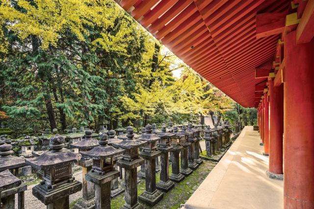 Őszi levelek a Kasuga Taisha szentélynél, Nara