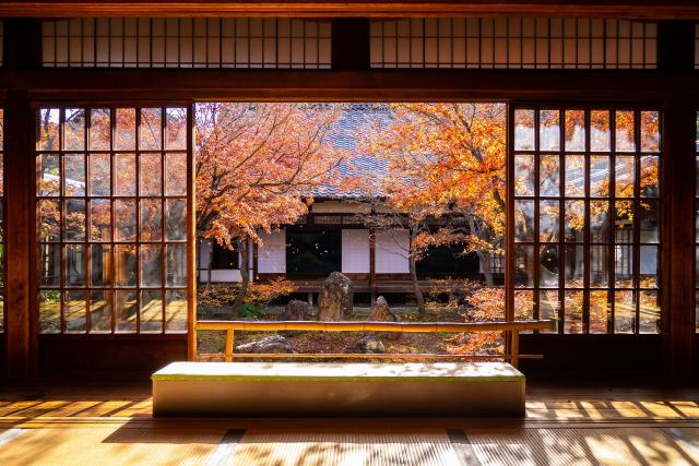 Őszi hangulat egy japán stílusú épületből 